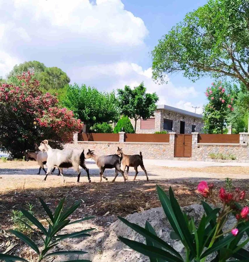 Aithonas Villa Arhángelosz Kültér fotó