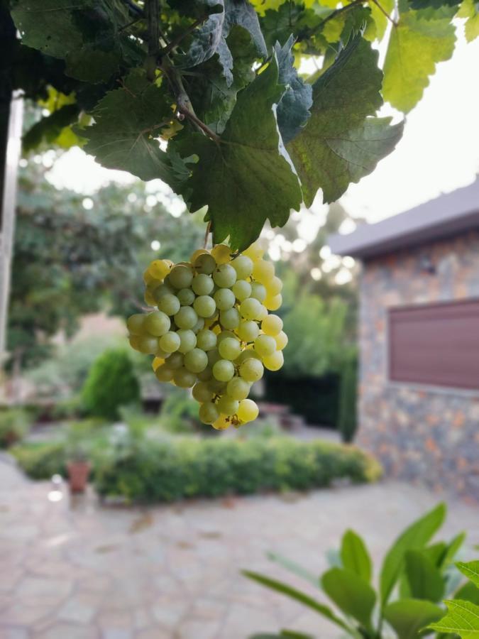 Aithonas Villa Arhángelosz Kültér fotó